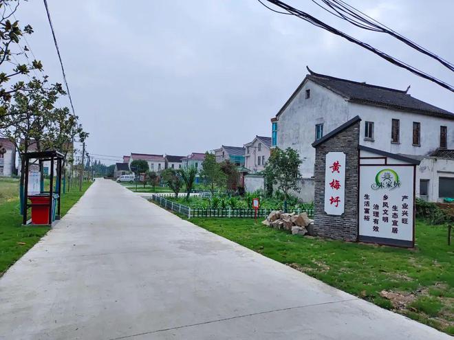 朱家村委会最新项目，引领乡村发展的典范标杆