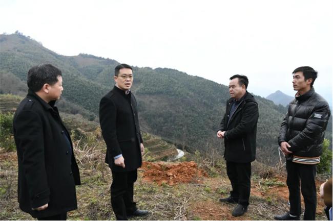 茫荡镇最新领导团队引领地方发展新征程