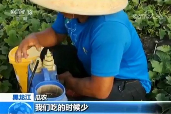 加勤比最新，引领新时代的进步力量，创新不断，与时俱进