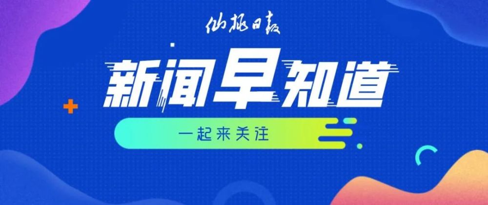 桐金 第3页