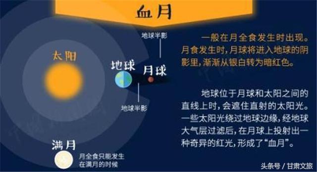 4949澳门今晚开奖｜深入设计执行方案