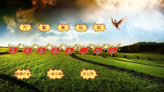 4949开奖免费资料澳门,总结解答落实解释_配套款34.354