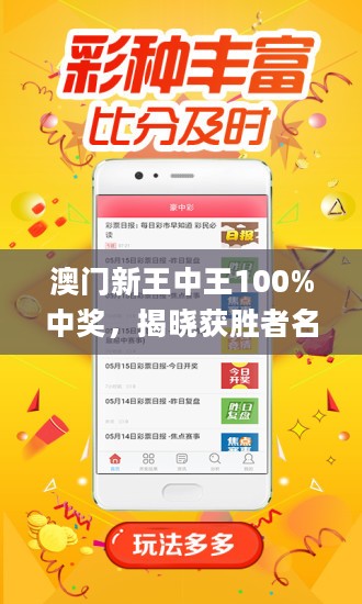 新澳门王中王100%期期中,教育理念实践_KP67.245