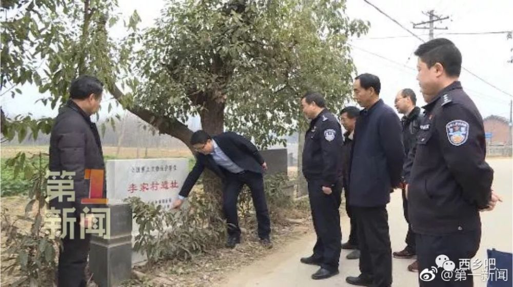 查若村交通新闻更新，迈向现代化交通的新篇章