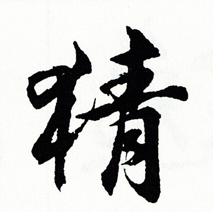 探索时代魅力，精字最新观看精选内容速递