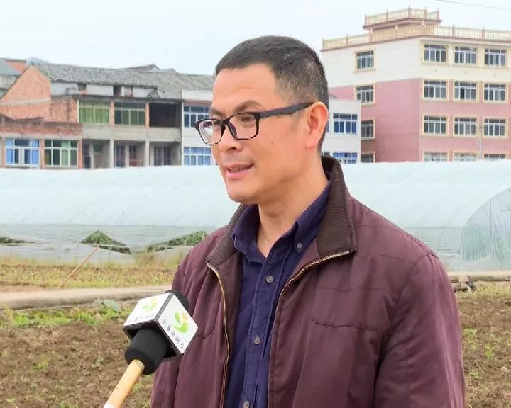 邹家门村民委员会最新项目，乡村振兴与社区发展的融合实践探索