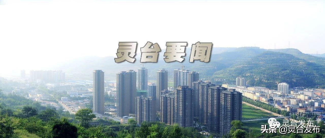 灵台县退役军人事务局最新项目进展及深远影响概述