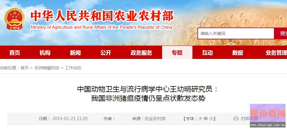 全球疫情最新动态，挑战与应对策略更新播报