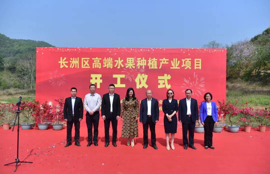 长洲区统计局最新项目概览，揭示最新动态与成果