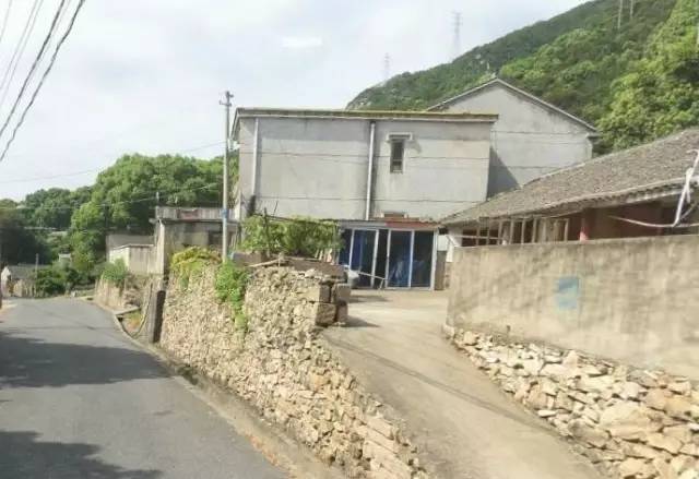 碾子村最新项目，乡村振兴的新动力源泉