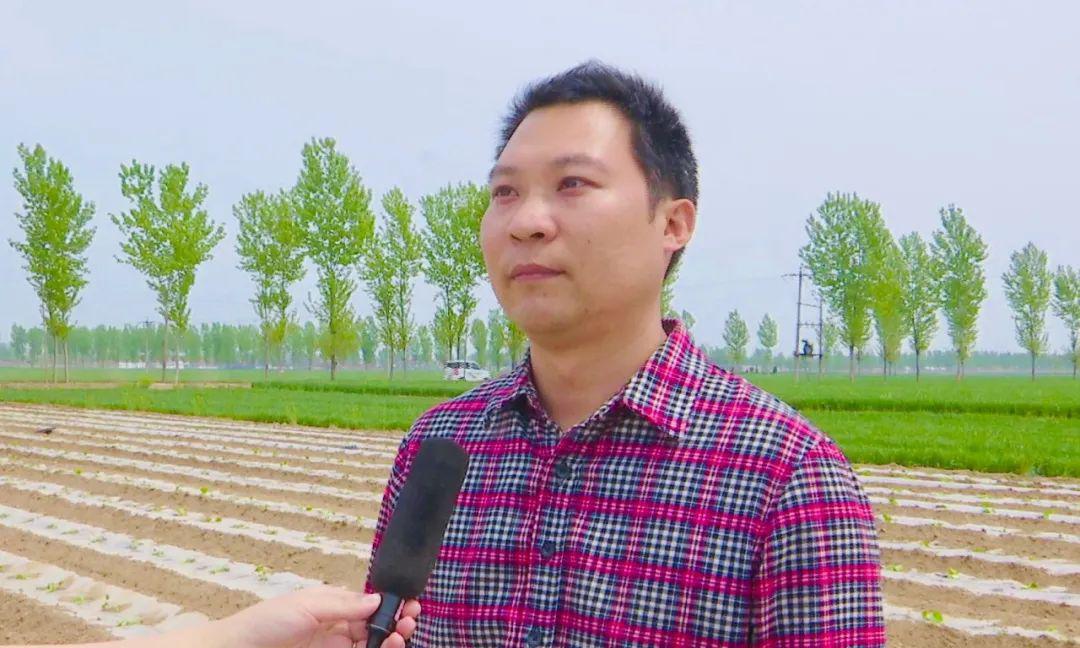 东汪镇最新项目，引领地区发展的强大引擎启动在即
