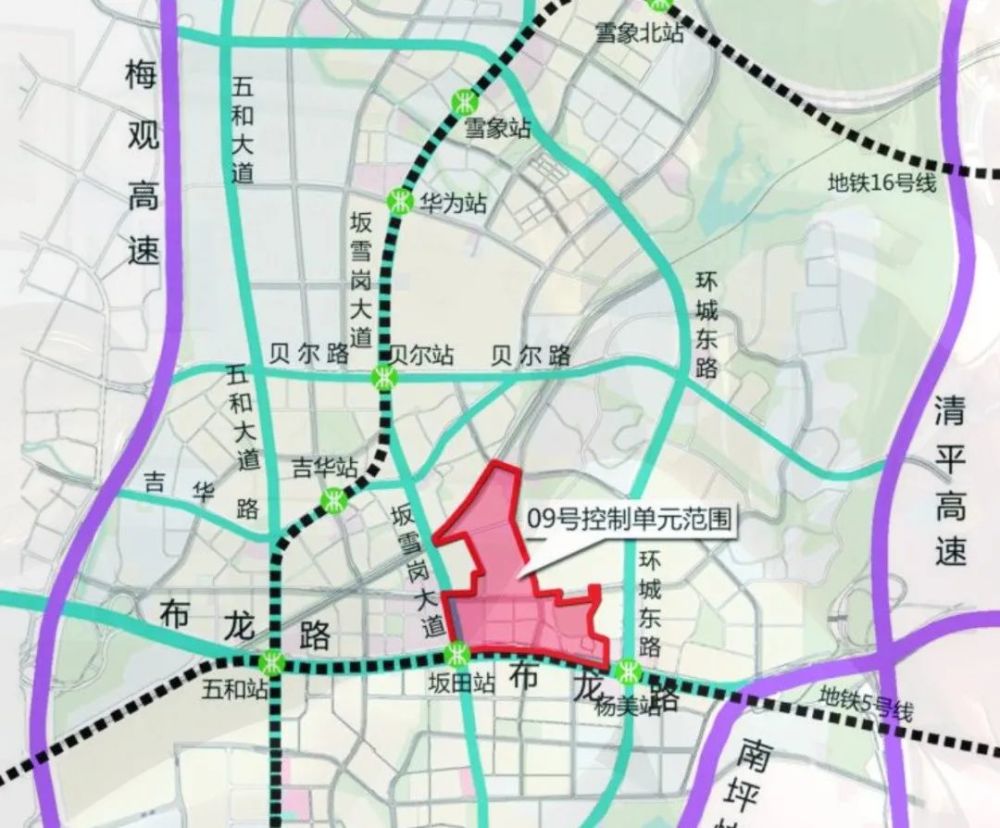 大安市自然资源和规划局领导团队最新概述