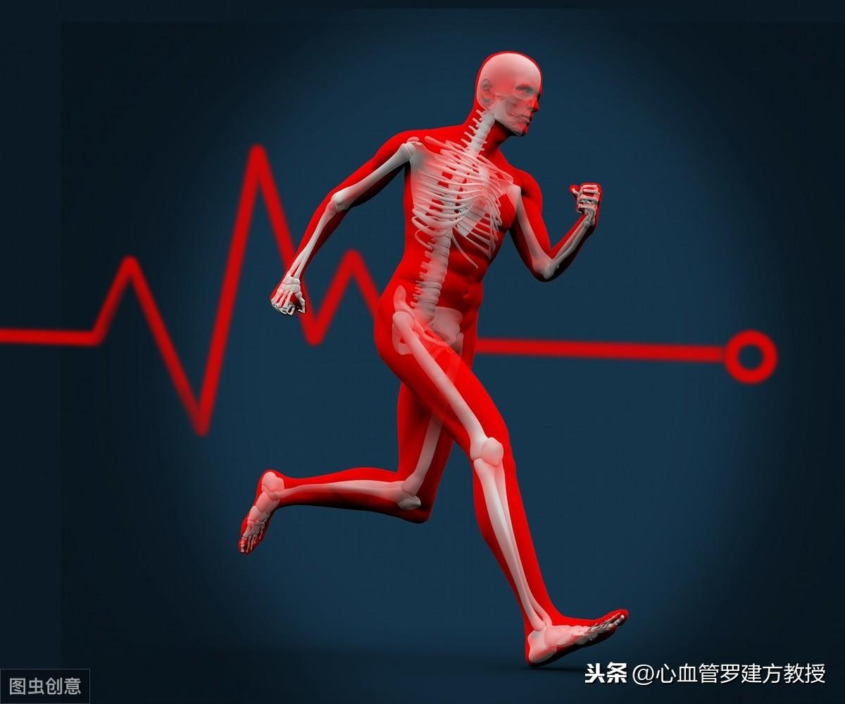 最新正常心率知识，了解、关注与保持健康心率的重要性
