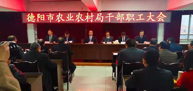 成华区体育局人事大调整，推动体育事业迈向崭新高度