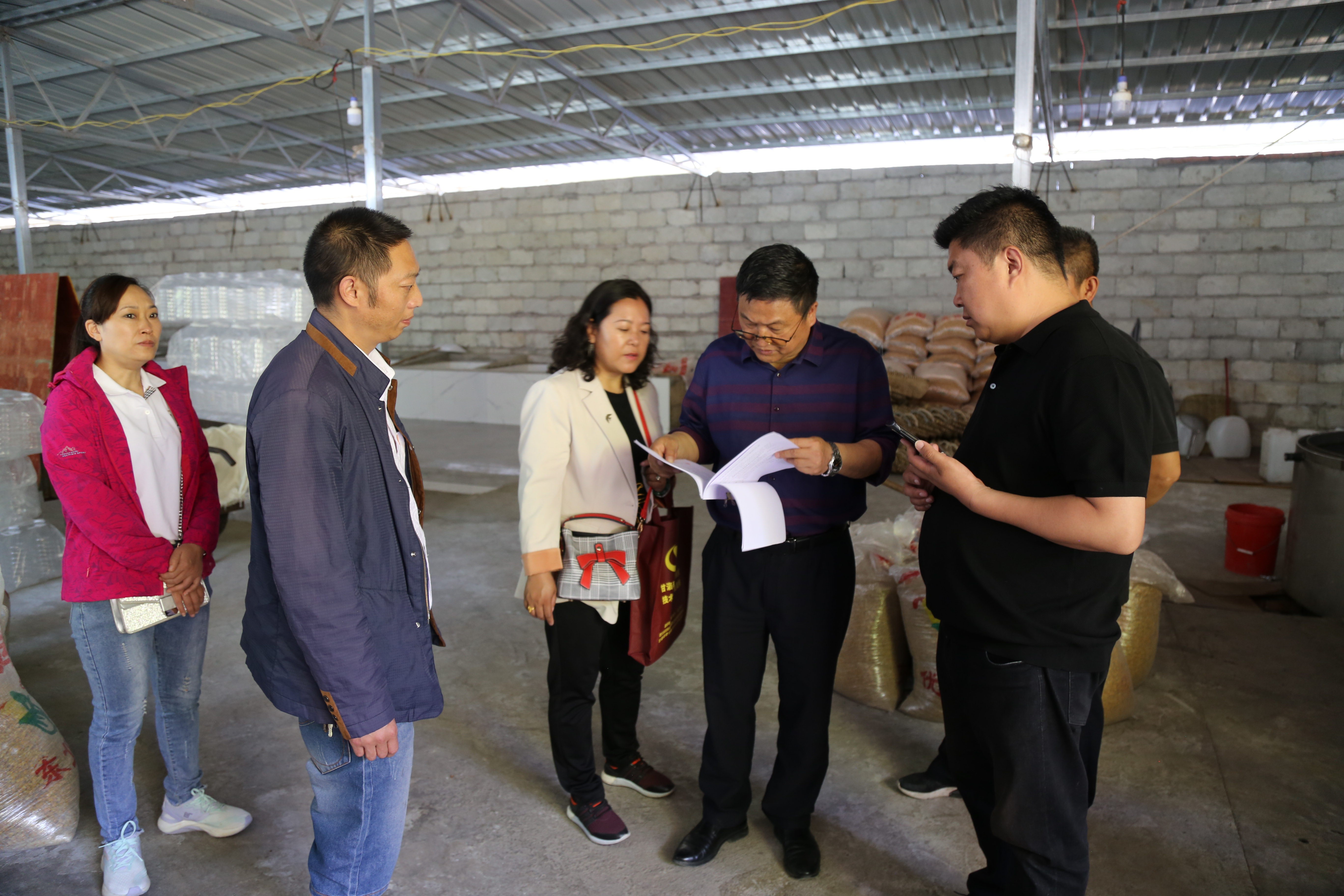 甘洛县科技局推动科技创新与最新项目落地实施