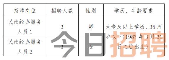 罗源县数据和政务服务局最新招聘信息全面解析
