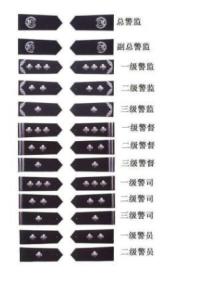最新民警警衔制度，塑造优秀警察队伍的关键举措