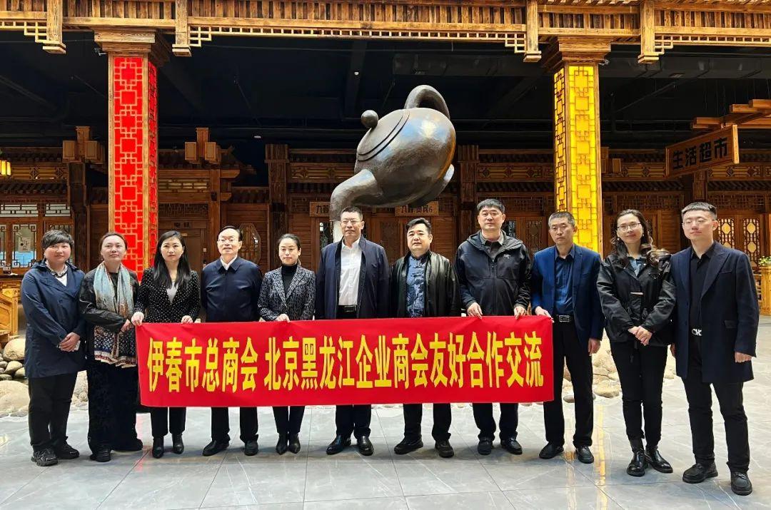 伊春最新区县发展动态概览
